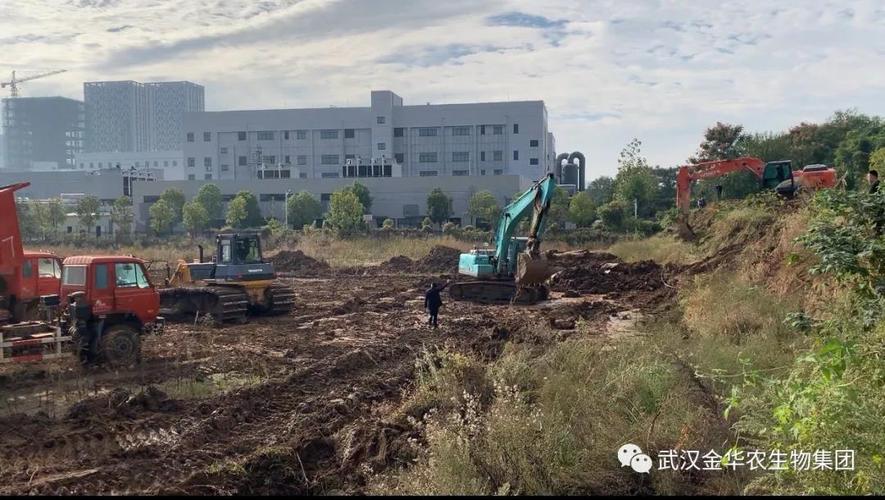 新工厂建设如火如荼，社会经济咨询助力高质量发展 ——精彩剪辑展现新时代工业力量