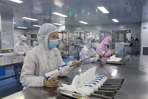 身处巴菲特也要买买买的供应链行业，国内企业如何应对全球竞争 专访厦门国贸总裁蔡莹彬
